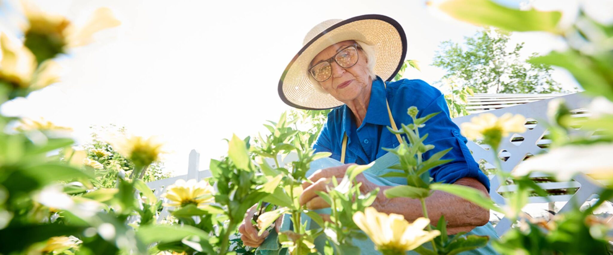 Senior woman gardening